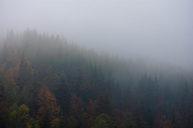 青岛新增135例本土确诊47例无症状!青岛新增135例本土确诊47例无症状感染者